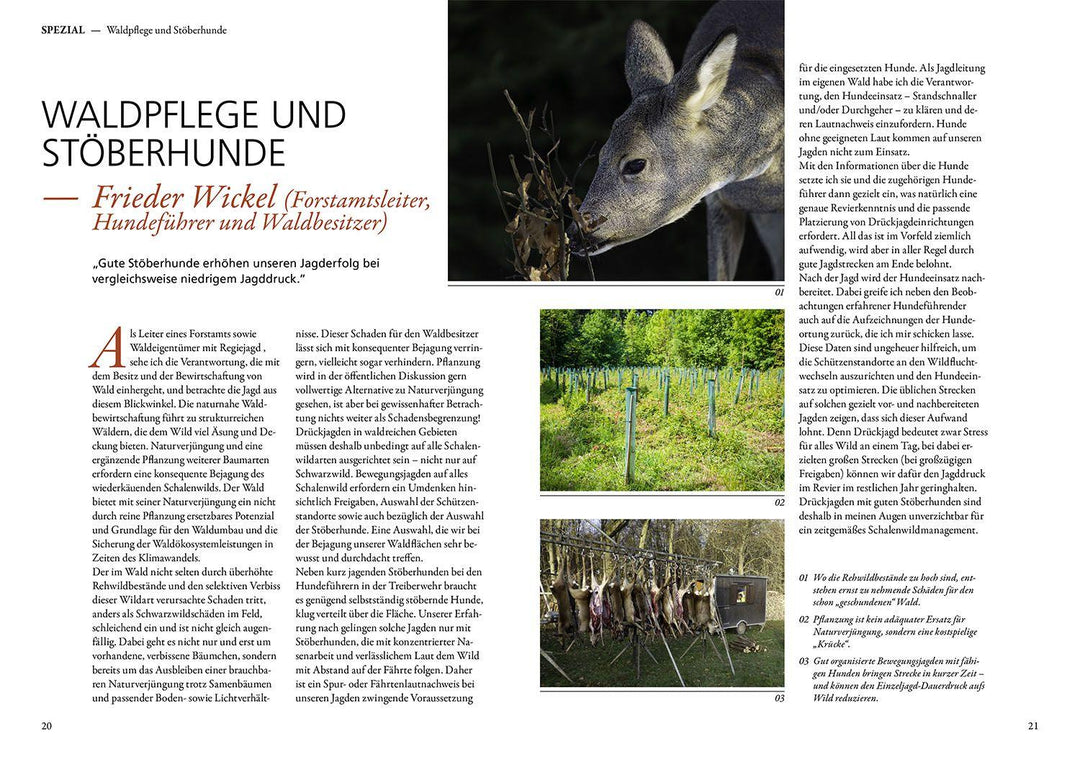 Jagen mit Stöberhunden | Mittner, Hannah | Mittner, Jonathan