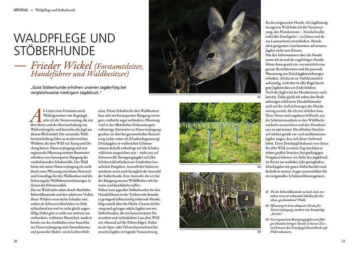 Jagen mit Stöberhunden | Mittner, Hannah | Mittner, Jonathan