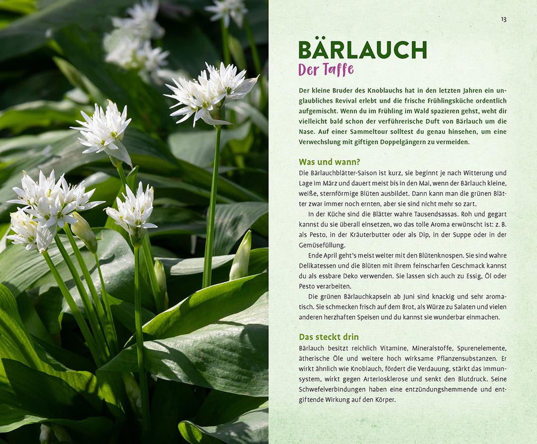 Wild und wunderbar: die 13 besten Wildkräuter | Hissel, Janine