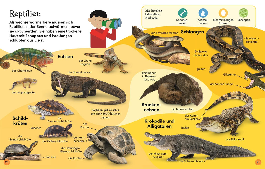 1000 erste Wörter. Tiere | Pottle, Jules