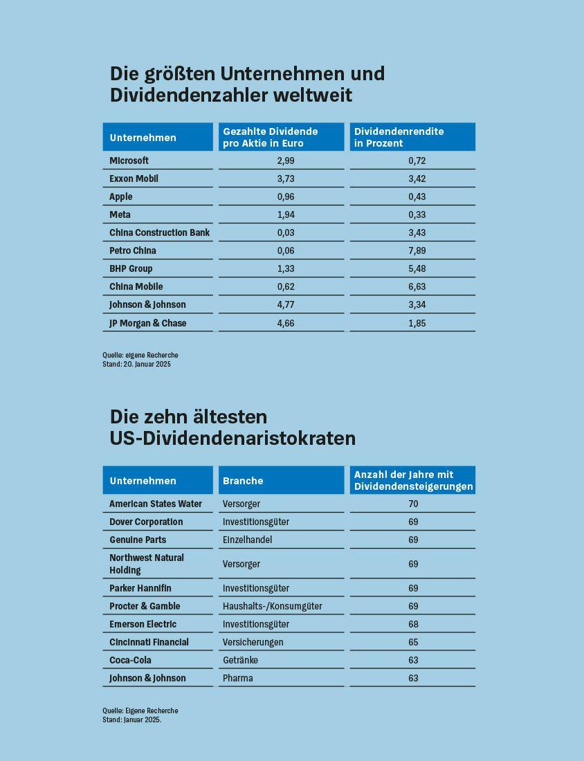 Die Dividenden-Strategie | Arndt, Heinz-Peter | Wetjen, Birgit