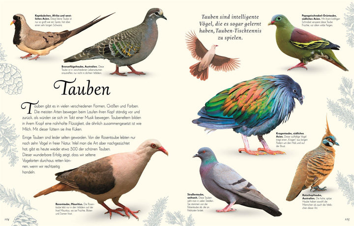 Wundervolle Welt der Vögel | Hoare, Ben