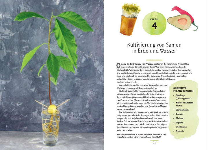 Regrow: Neue Ernte aus Gemüseresten - Von Avocado bis Zwiebel. Die unkompliz...