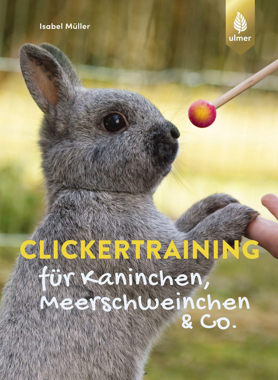 Clickertraining für Kaninchen, Meerschweinchen & Co. | Müller, Isabel