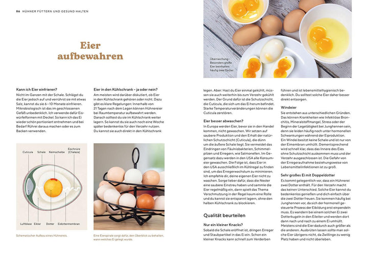 Hühner | Casteel, Eva-Maria