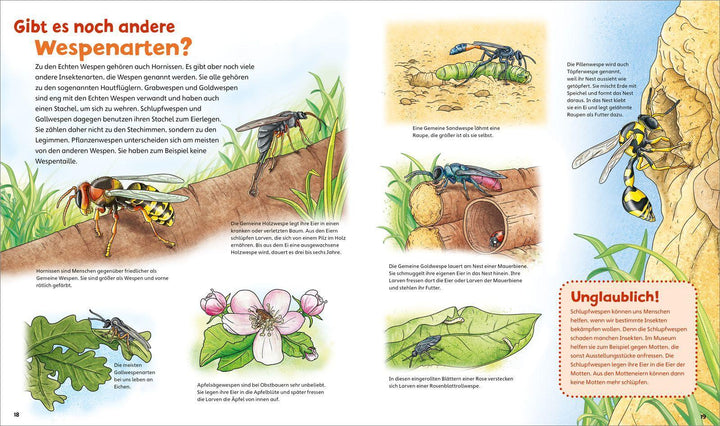 WAS IST WAS Junior Band 34 Bienen, Wespen, Hummeln | Rusche-Göllnitz, Angelika