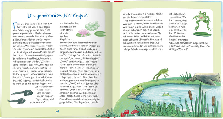 2-3-5-Minuten-Geschichten von Gott und der Welt | Danner, Eva