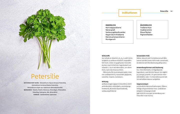 10 Kräuter gegen 100 Krankheiten | Rubin, Franziska | Strigin, Gudrun