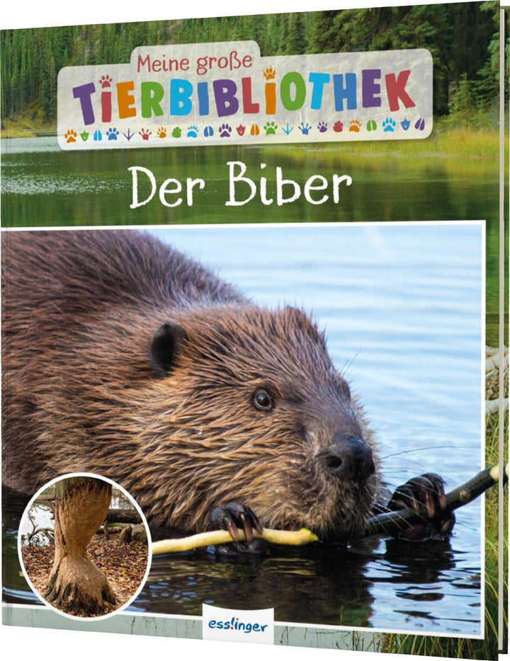 Meine große Tierbibliothek: Der Biber | Gutjahr, Axel