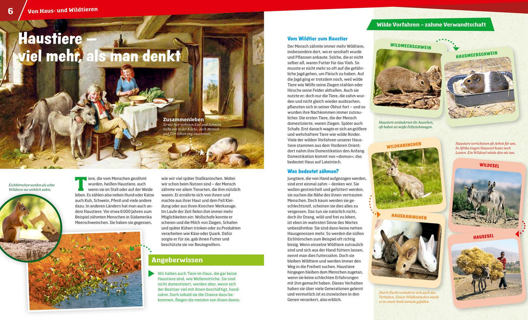 WAS IST WAS Band 72 Haustiere. Unsere liebsten Freunde | Hackbarth, Annette