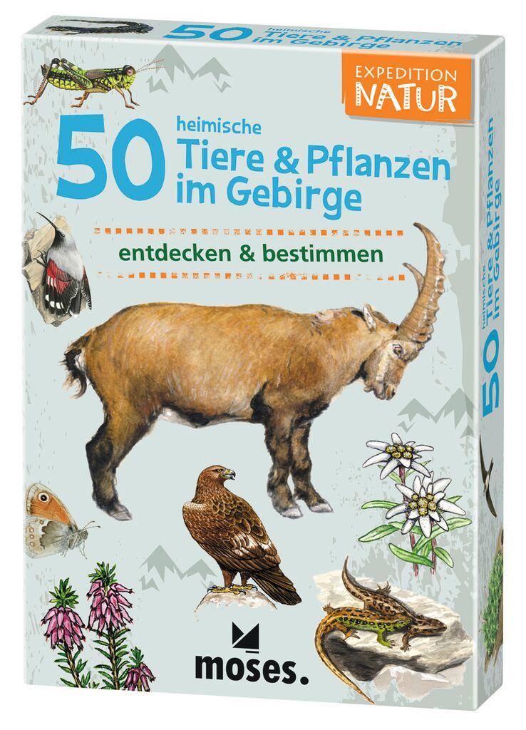 50 heimische Tiere & Pflanzen im Gebirge | Kessel, Carola von