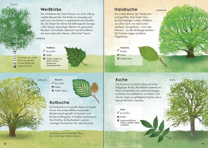 Der große Ravensburger Naturführer - Naturwissen für Kinder ab 5 Jahren | Br...