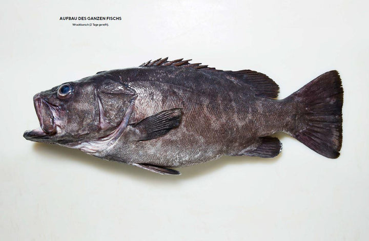Der ganze Fisch: Rezepte von der Flosse bis zur Kieme | Niland, Josh