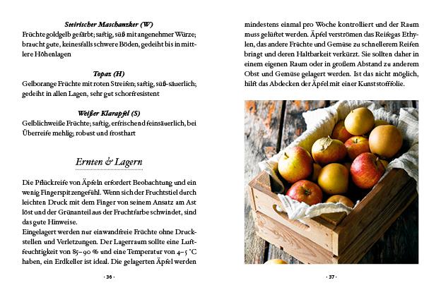 Das große kleine Buch: Obstbäume in unserem Garten | Papouschek, Elke