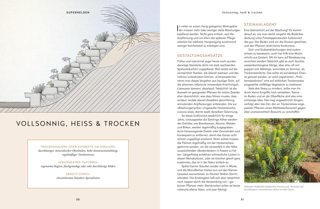 Und es wächst doch! | Matschiess, Torsten | Hofmann, Till