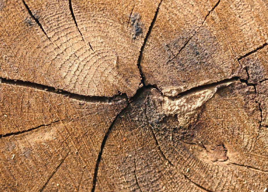 Foto-Bildkarten Stressmanagement | Wieber, Monika