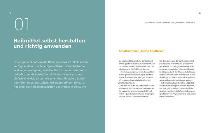 10 Kräuter gegen 100 Krankheiten | Rubin, Franziska | Strigin, Gudrun