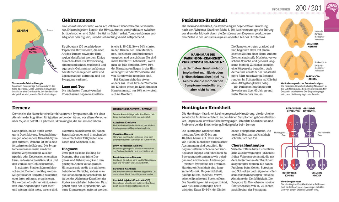 #dkinfografik. Das menschliche Gehirn und wie es funktioniert | Collin, Cath...