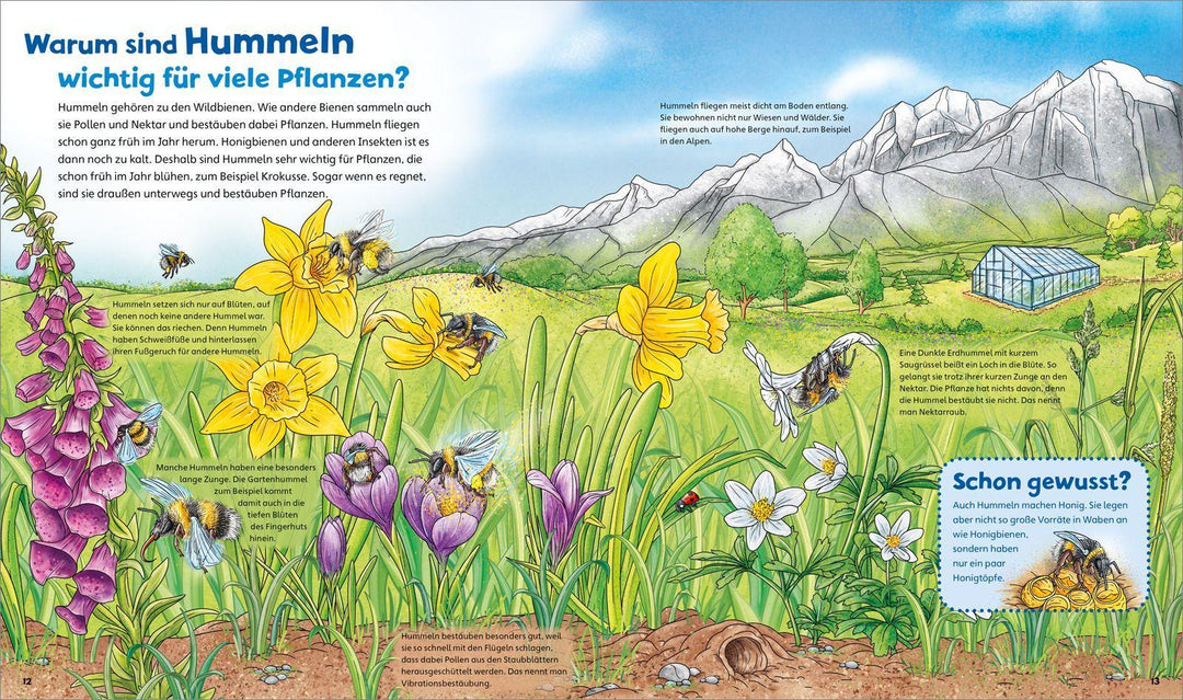 WAS IST WAS Junior Band 34 Bienen, Wespen, Hummeln | Rusche-Göllnitz, Angelika