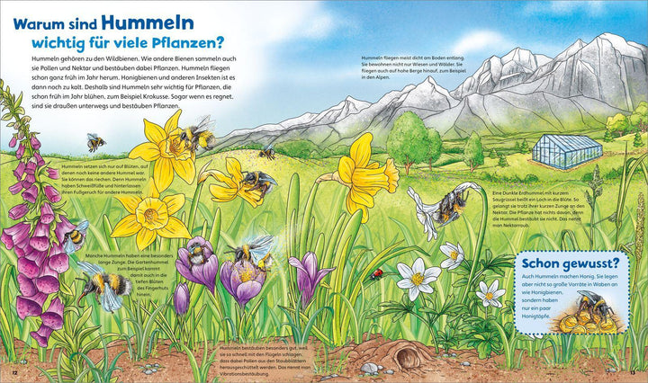 WAS IST WAS Junior Band 34 Bienen, Wespen, Hummeln | Rusche-Göllnitz, Angelika