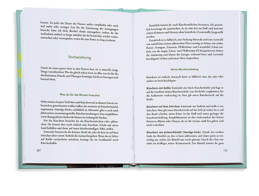 Reconnect. Wie wir uns wieder mit der Natur verbinden | Schneider, Maren