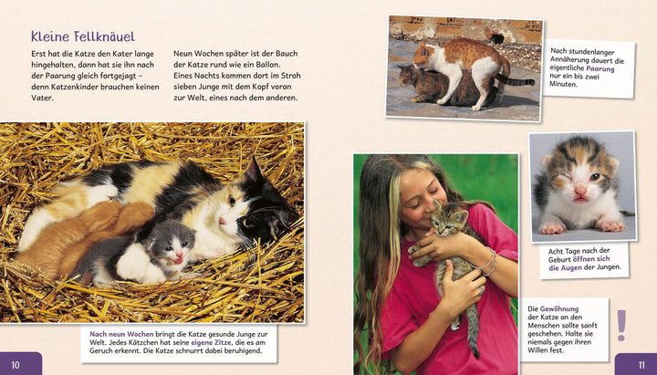 Meine große Tierbibliothek: Die Katze | Ledu-Frattini, Stéphanie