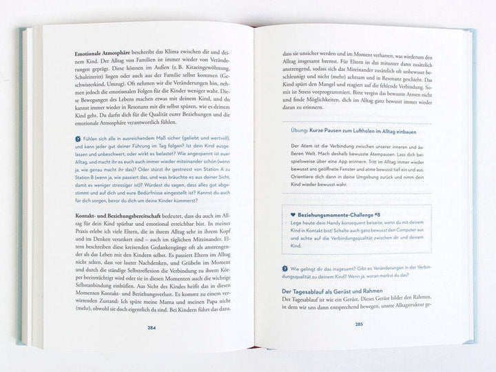 Die Reise zur glücklichen Eltern-Kind-Beziehung | Saalfrank, Katharina