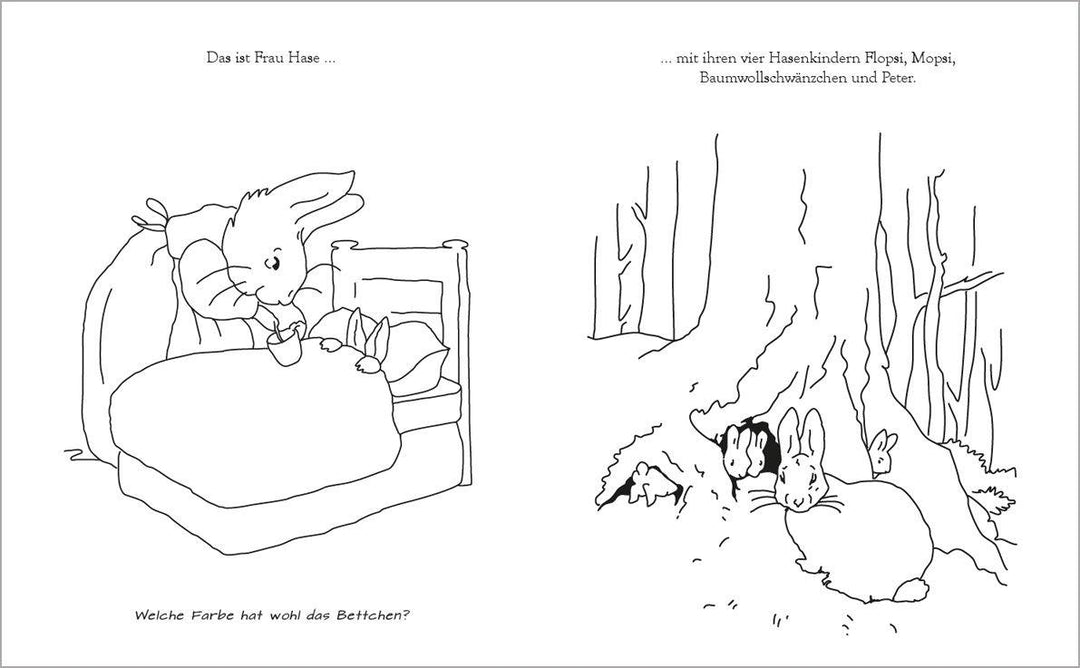 Das große Peter Hase Ausmalbuch | Potter, Beatrix
