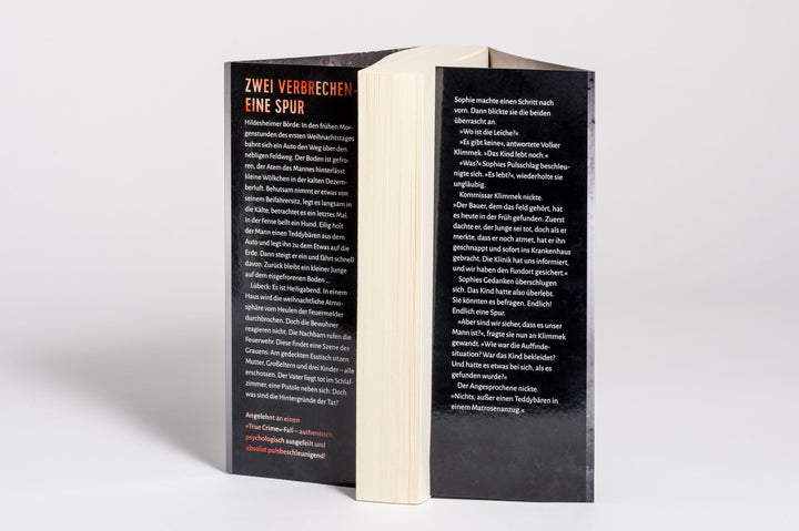 Im Kopf des Bösen  - Der Sandmann | Petermann, Axel | Mattfeldt, Petra