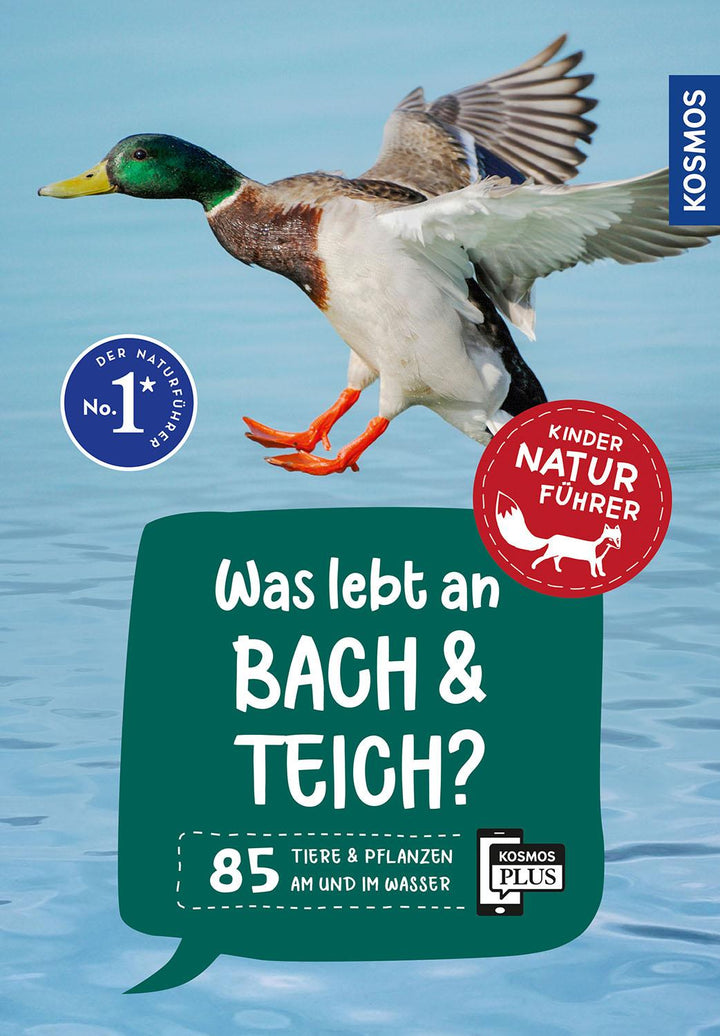 Was lebt an Bach und Teich? Kindernaturführer | Saan, Anita van