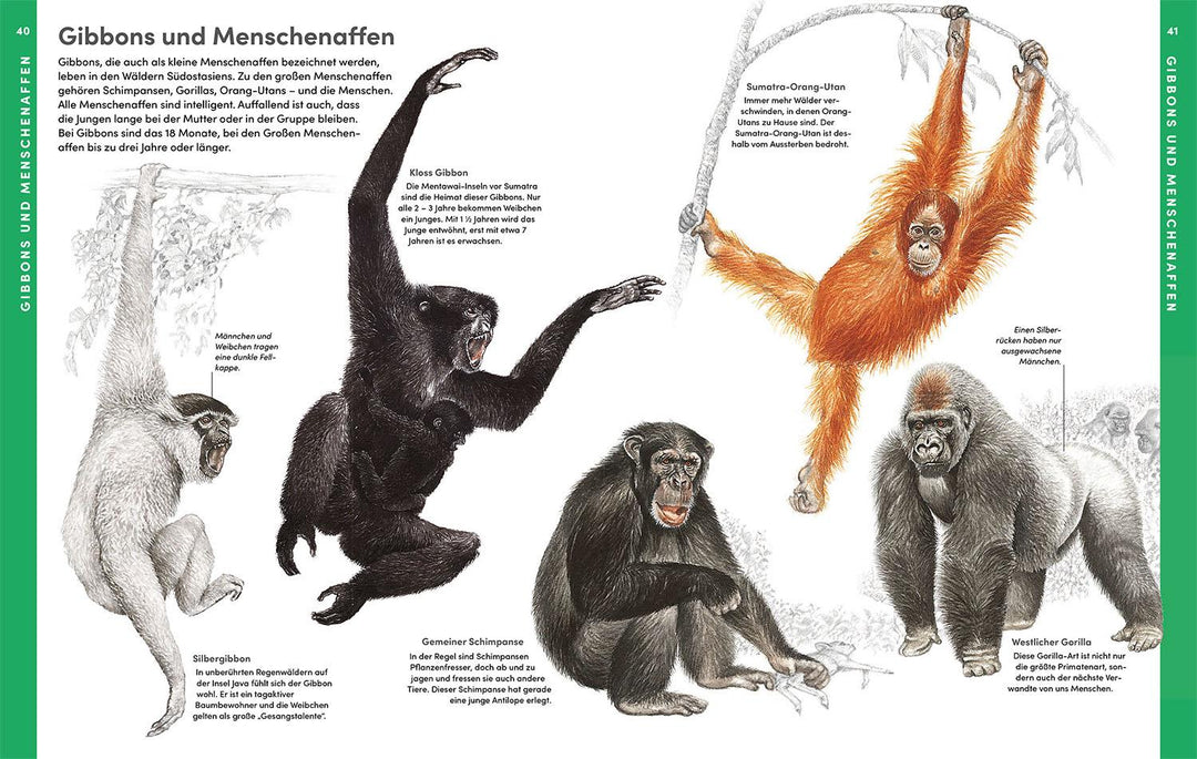 Der große Kosmos Tieratlas | -