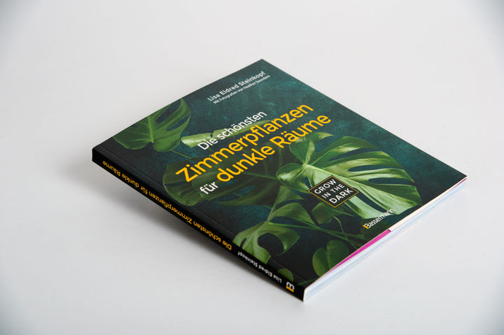 Grow in the Dark - Die schönsten Zimmerpflanzen für dunkle Räume und Plätze....