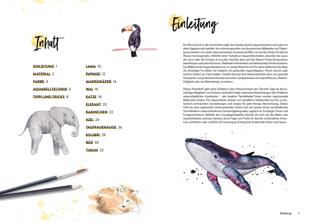 Motivwerkstatt: Aquarell - Tiere | -