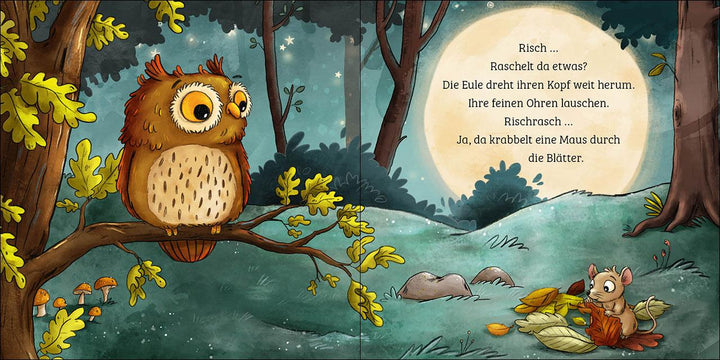 Mein erstes Naturbuch - Die Eule | Grimm, Sandra