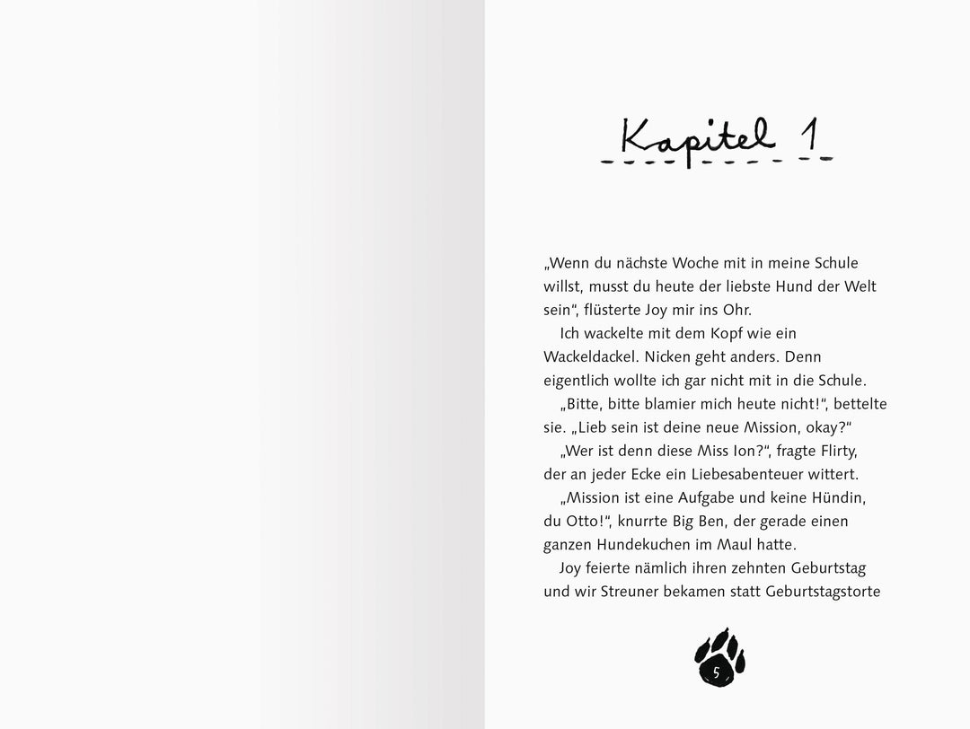 3 Streuner und der sprechende Berg | Fröhlich, Anja