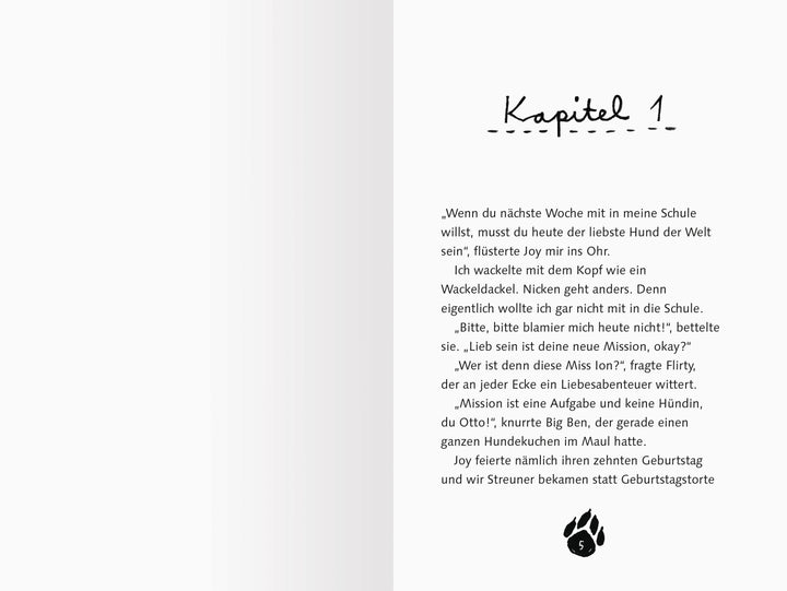 3 Streuner und der sprechende Berg | Fröhlich, Anja