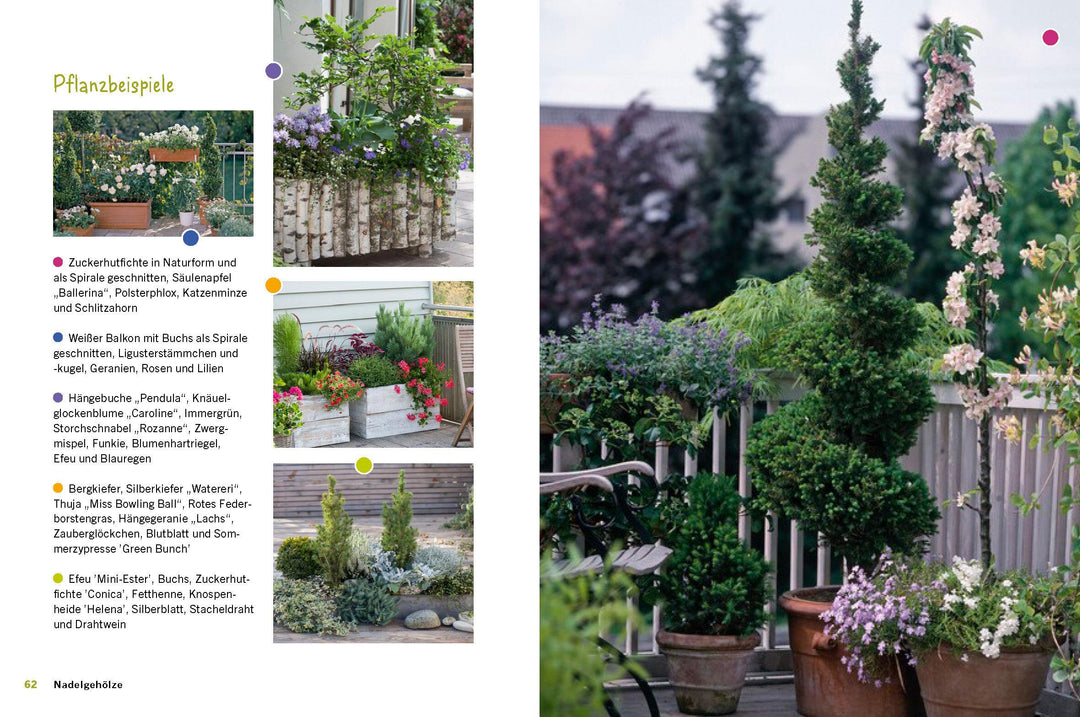 Der immergrüne Balkon. Ganzjährig gestalten mit winterharten Pflanzen | Kopp...