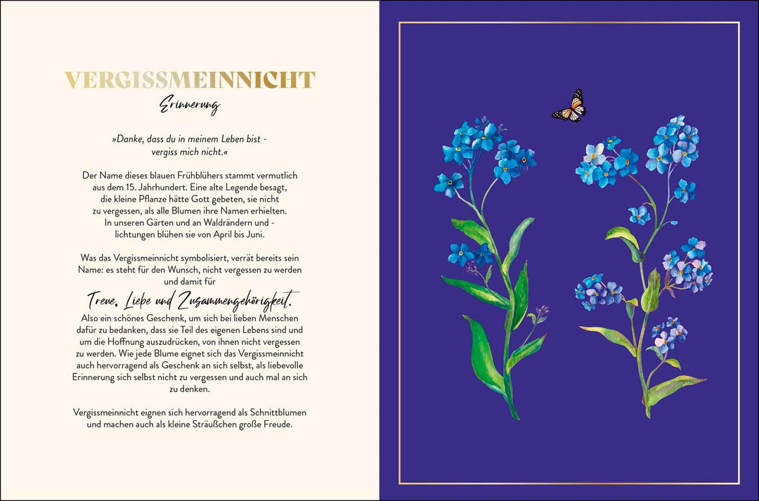 Die geheimnisvollen Botschaften der Blumen | -