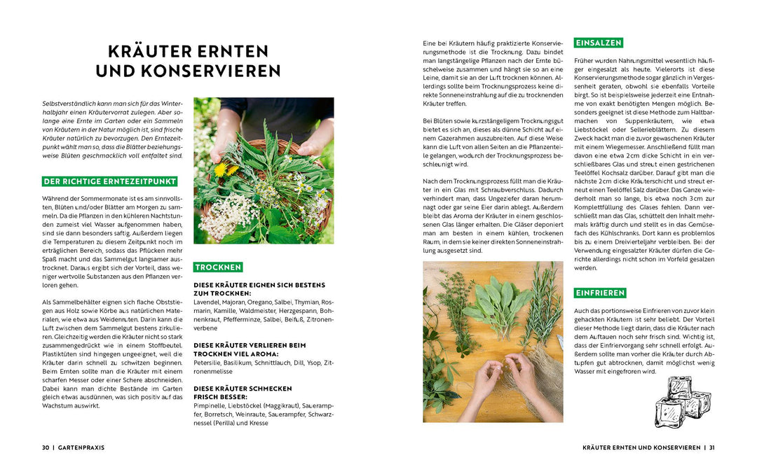 Gartenmomente: Kräuter im Garten | -