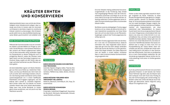 Gartenmomente: Kräuter im Garten | -