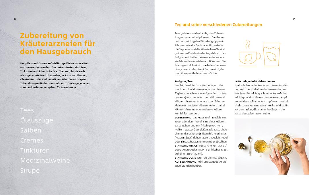 10 Kräuter gegen 100 Krankheiten | Rubin, Franziska | Strigin, Gudrun