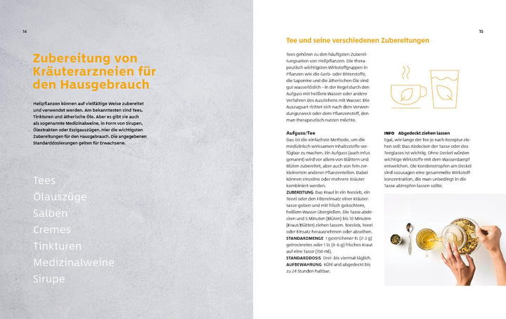 10 Kräuter gegen 100 Krankheiten | Rubin, Franziska | Strigin, Gudrun