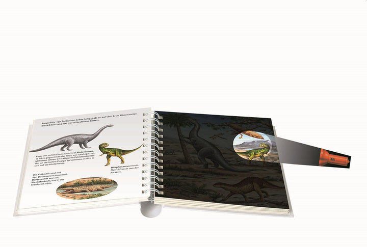 Im Reich der Dinosaurier | -