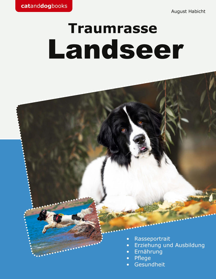 Traumrasse Landseer | Habicht, August