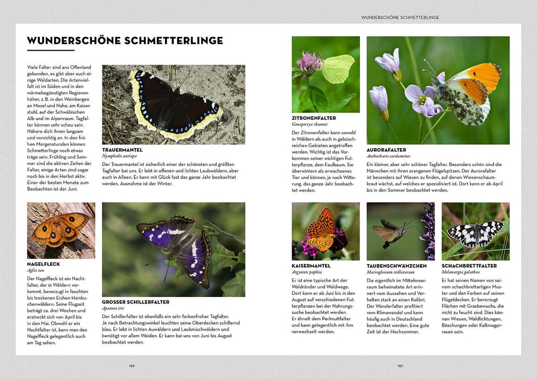 Tiere beobachten mit dem Wildtierguide | Hundorf (@patrickdogvillage), Patrick