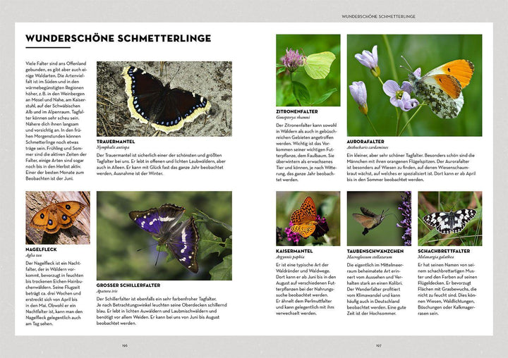 Tiere beobachten mit dem Wildtierguide | Hundorf (@patrickdogvillage), Patrick