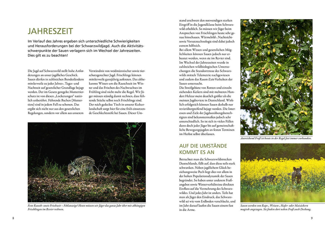 Nachtjagd auf Sauen | Gast, Michael | Balke, Martin Norbert