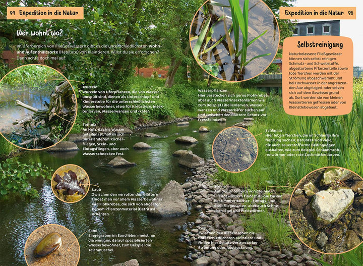 Was lebt an Bach und Teich? Kindernaturführer | Saan, Anita van