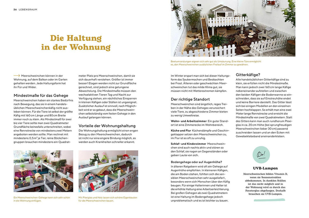 Meerschweinchen | Schillinger, Viola