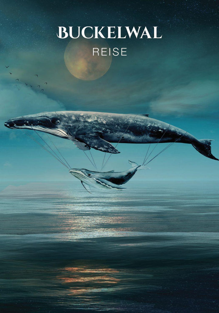 Sacred Destiny - Orakel zur heiligen Bestimmung | Linn, Denise